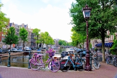 City of Bikes