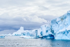 In Iceberg Alley...