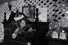 DSCF2619