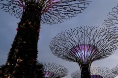 DSCF0709